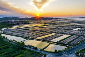 1题-1.jpg